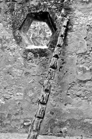 WS Walls - 25.jpg